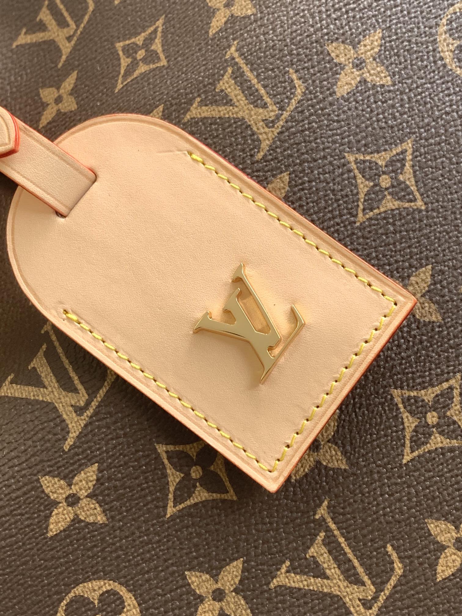 Louis Vuitton Shopping Bags